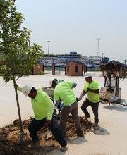 Harlow Enterprises Inc image 14