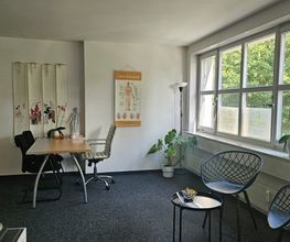 Oase TCM | Akupunktur, Chinesische Medizin für Baselland und Basel Bild 5