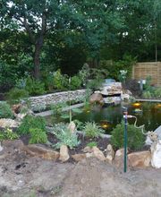 Alex Paysage image 19