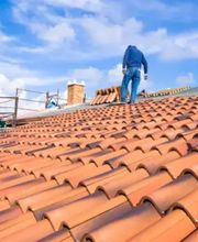 Mayer David image 15