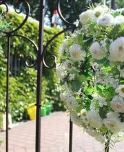 Blumenhaus Frankenstein Bild 6