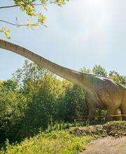 Dinosaurierpark Teufelsschlucht Bild 3