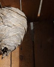 ALP17 image 10
