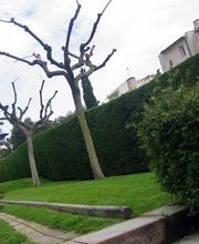 Jardins Piscines Jordi imagen 2