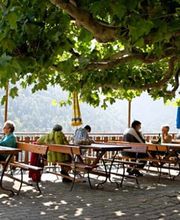 Plan-Cerisier Bild 1