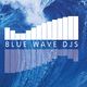 Bluewave DJs & Events
