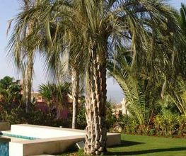 Fantastic Gardens imagen 10