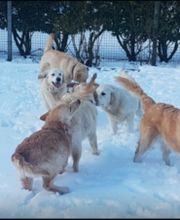 Le Domaine D'Izara image 4