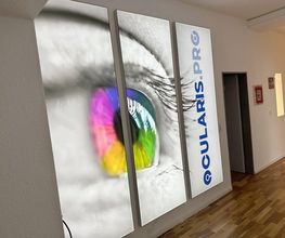 Bild von einem Auge in der Praxis von Prof. Dr. Thomas Bertelmann - Augenarztpraxis Wetzlar ocularis.pro