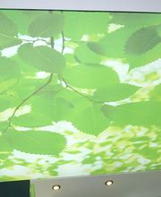 Grau Die Schreinerei. Der Einrichter Bild 9