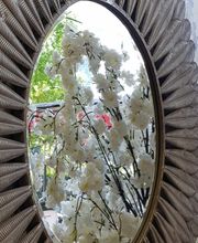 Hiedra decoración imagen 1