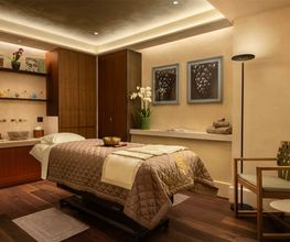 Botanica Spa immagine 13