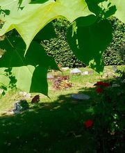 Garten Zeißlhof Bild 5