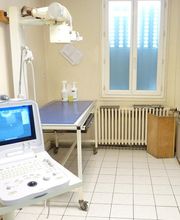 Cabinet Veterinaire de Chat-Ours image 2
