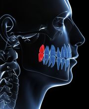 ZNZ Zahnärztliche Notfall Zentrale Bild 2