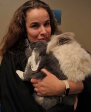 Etude Fair Law Bild 2