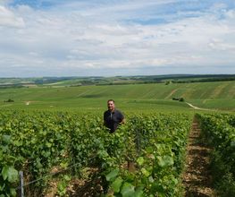 Domaine Fourrey image 2