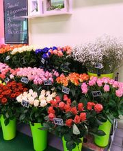 Le Langage Des Fleurs image 13