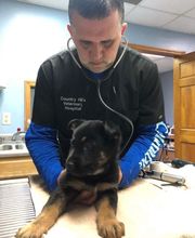 Country Hills Veterinary Hospital: Greene Mark DVM image 16