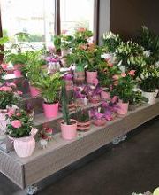 Carrément Fleurs - Fleuriste Le Passage Agen 47 - Livraison de fleurs à domicile image 6