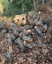 Bourgaud Michel image 10