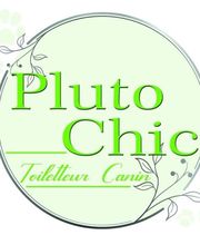 Pluto Chic image 1