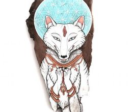White Fox Gallery Bild 2