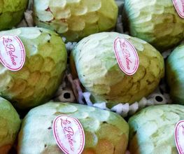 frutas-y-verduras-primi-4.jpg