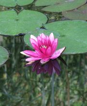 Eurowaterland image 10