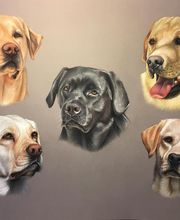 Sweet Braveheart Melody image 1