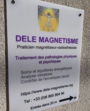 Dele Magnetisme image 2