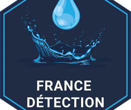 France detection image 18