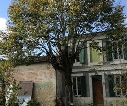 Arbor Elag image 15