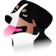 Rund ums Tier-Hundedialog