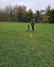 Bien dans ses Pattes image 6