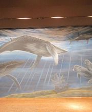 Aggeler-Ackermann GmbH