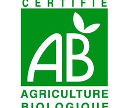 Comme Autrefois image 9