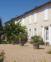 Vignobles Gabard image 6
