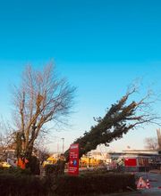 Bühlmann & Partner Garten GmbH Bild 4