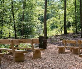 Einer der insgesamt drei Andachtsplätze im FriedWald Wildenburger Land.