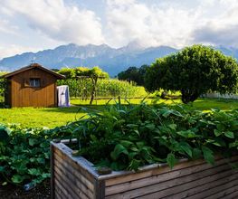 Hänni Gartenbau AG Bild 5