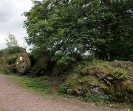 FriedWald Litermont Bild 8