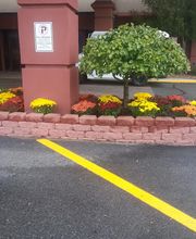 Steve's Services Landscaping & Snow Removal image 12