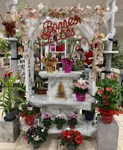 Fleurs et Sens image 13