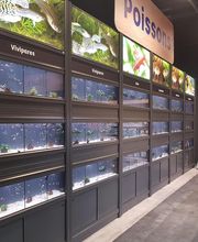 Animalis Plan de Campagne image 3