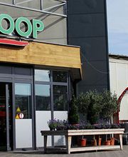 Harderwijk Welkoop