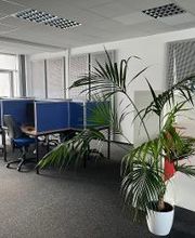 Ein heller Raum mit Arbeitsplätzen, die durch blaue Trennwände voneinander getrennt sind. Vor jedem Arbeitsplatz steht ein Bürostuhl. Rechts stehen ein Regal mit bunten Fächern und eine große Zimmerpflanze in einem weißen Topf. 