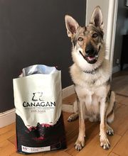 INTERFOOD di Giampietro Ceppi Bild 11