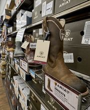 Wide Angle Interior Shot