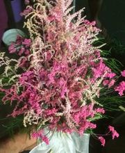 FOTO7FLORISTERIALAAURORA.jpg